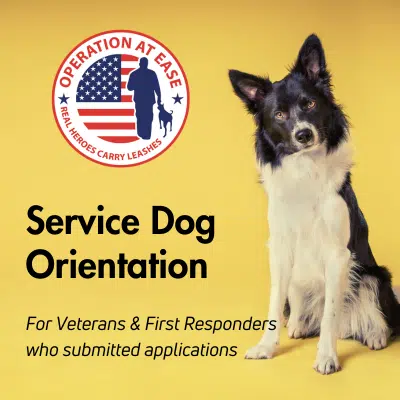 Service Dog Orientation
